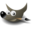 GIMP