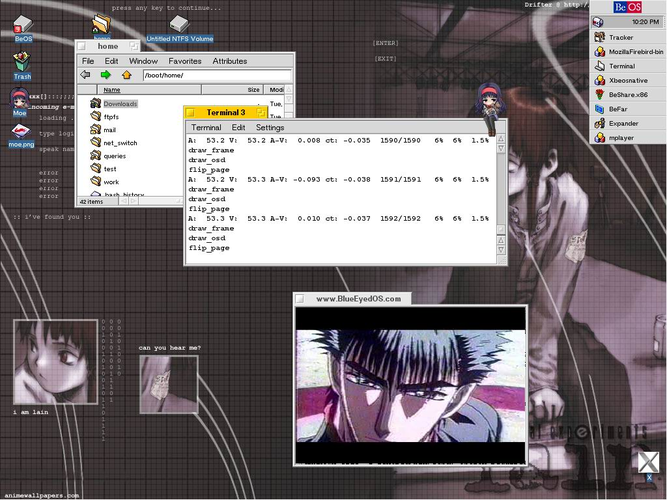 Screenshot von Mplayer