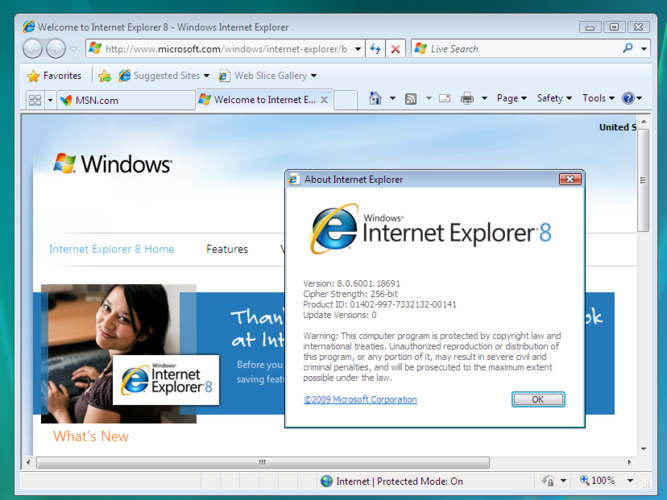 Microsoft Internet Explorer screenshot