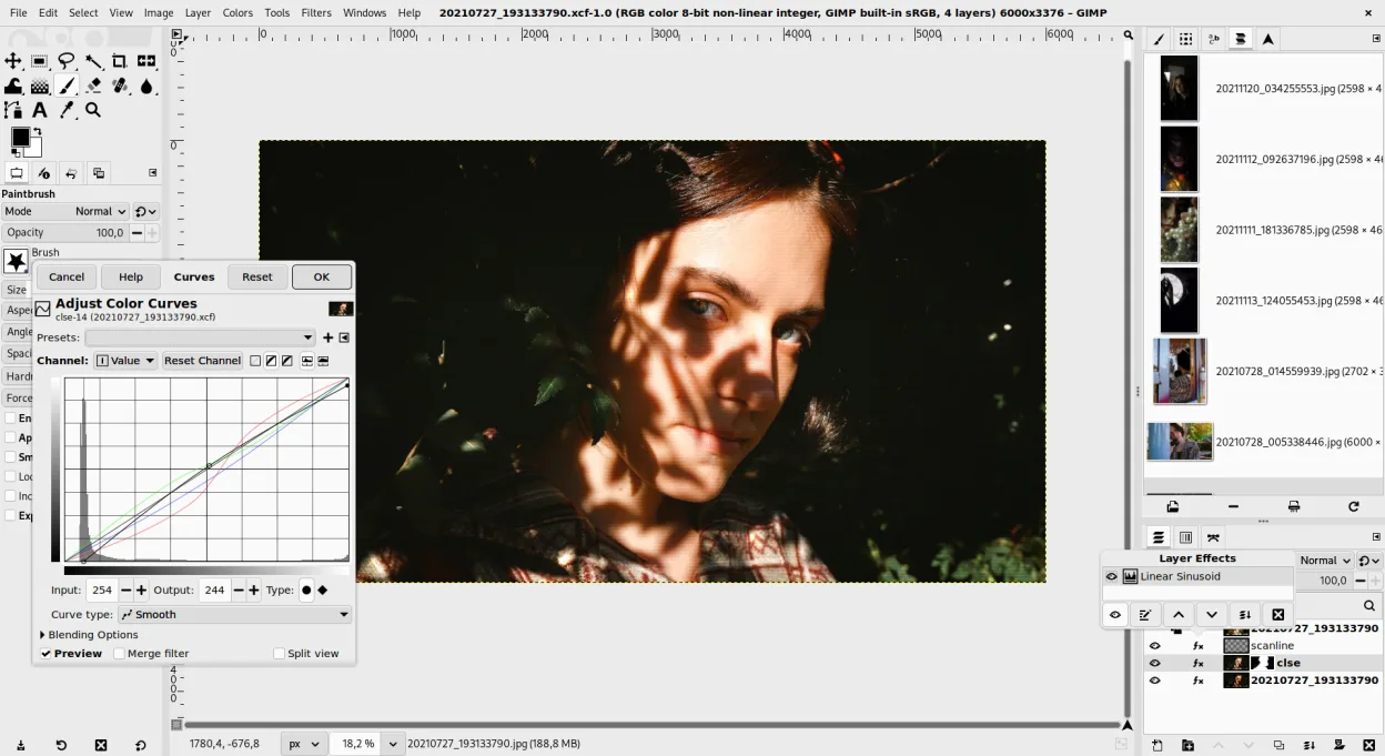 Portrait of Sofiia being edited in GIMP. Photo by Sofia (CC by-sa 4.0 International)