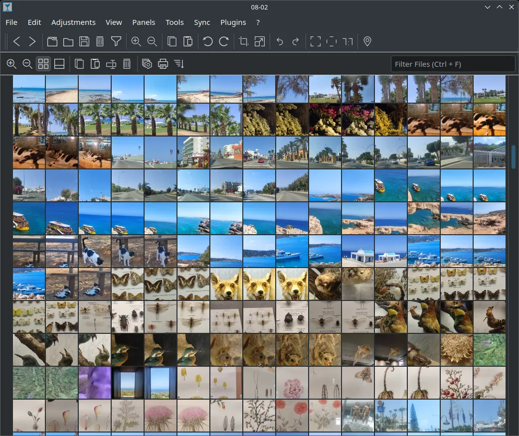 Image thumbnails in nomacs viewer