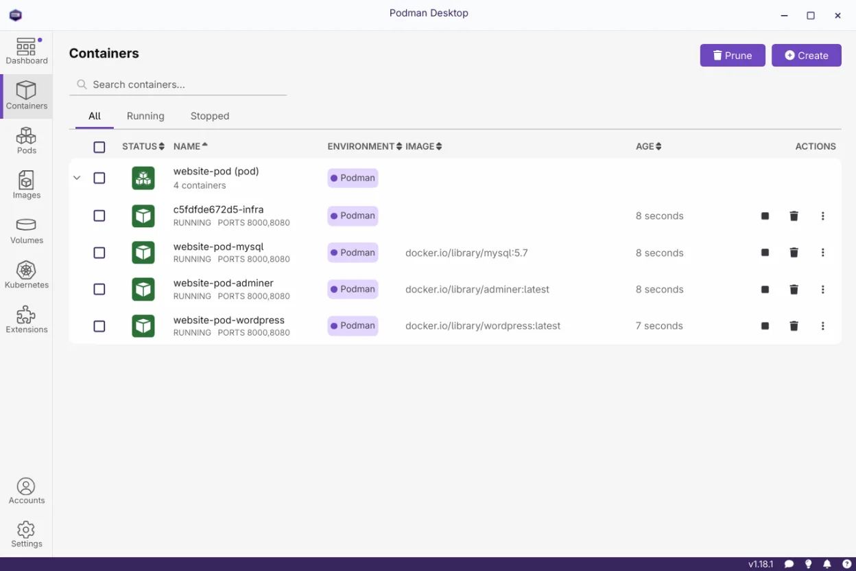List view of running containers