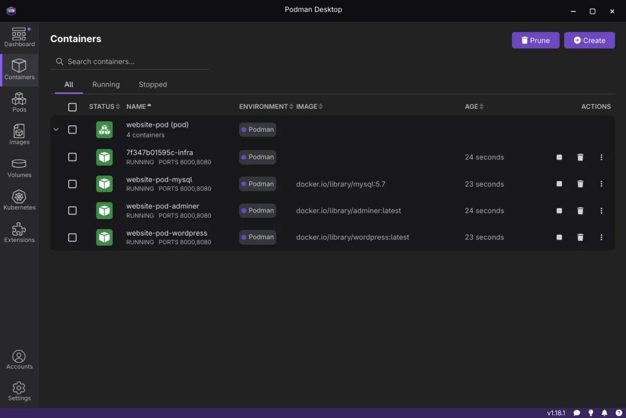 List view of running containers
